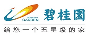 东南亚大型快充网络运营商生态伙伴